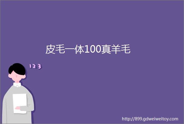 皮毛一体100真羊毛